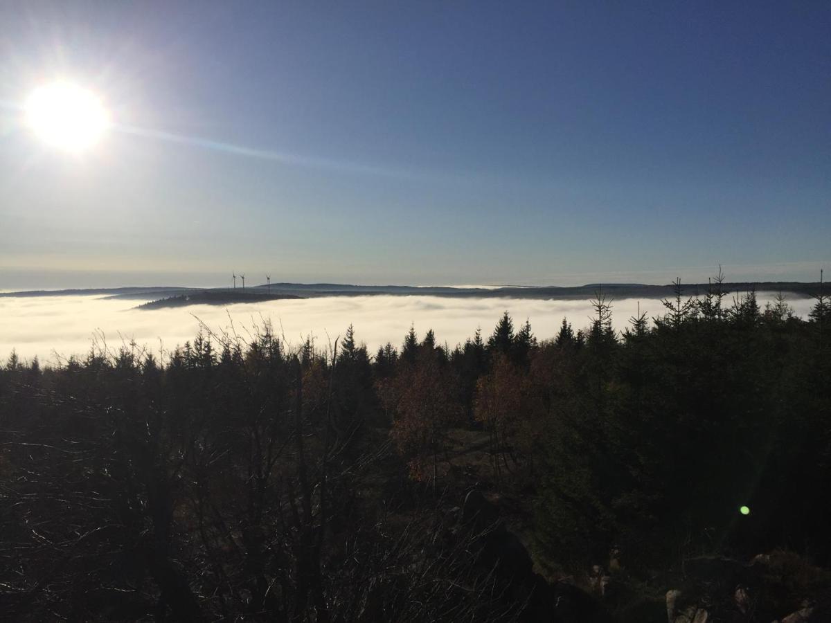 Erzgebirgsholzhaus Am Lugstein Villa Altenberg Eksteriør billede
