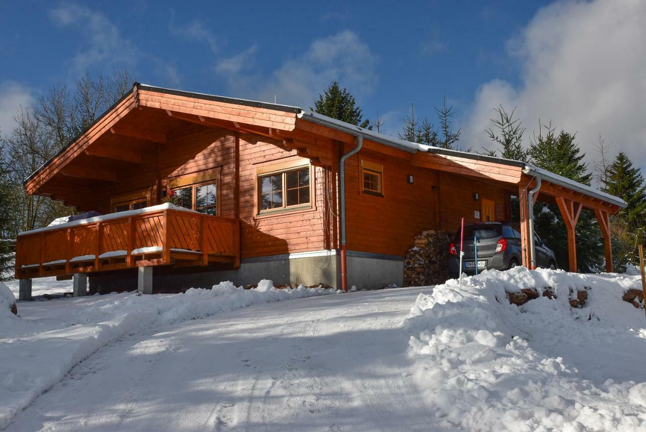 Erzgebirgsholzhaus Am Lugstein Villa Altenberg Eksteriør billede